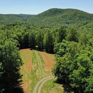 Photo of SOLD!!  373 Acres of Residential Hunting and Recreational Land For Sale in Franklin County VA!