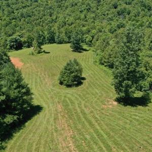 Photo of SOLD!!  373 Acres of Residential Hunting and Recreational Land For Sale in Franklin County VA!