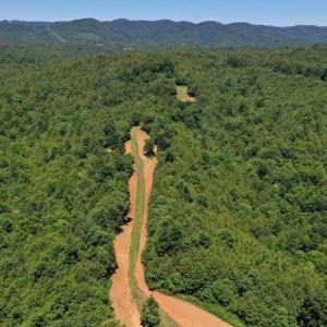 Photo of SOLD!!  373 Acres of Residential Hunting and Recreational Land For Sale in Franklin County VA!