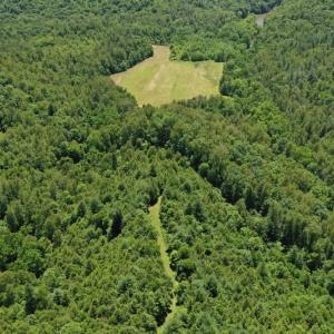 Photo of SOLD!!  373 Acres of Residential Hunting and Recreational Land For Sale in Franklin County VA!