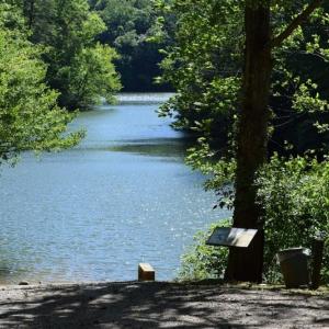 Photo of SOLD!!  373 Acres of Residential Hunting and Recreational Land For Sale in Franklin County VA!