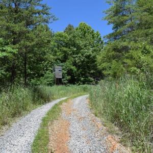 Photo of SOLD!!  373 Acres of Residential Hunting and Recreational Land For Sale in Franklin County VA!