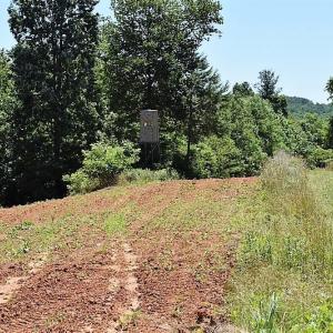 Photo of SOLD!!  373 Acres of Residential Hunting and Recreational Land For Sale in Franklin County VA!