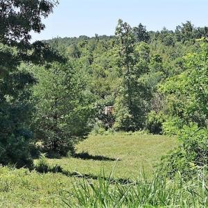 Photo of SOLD!!  373 Acres of Residential Hunting and Recreational Land For Sale in Franklin County VA!