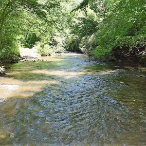 Photo of SOLD!!  373 Acres of Residential Hunting and Recreational Land For Sale in Franklin County VA!