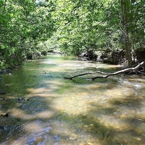 Photo of SOLD!!  373 Acres of Residential Hunting and Recreational Land For Sale in Franklin County VA!
