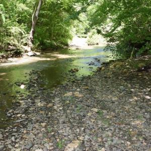 Photo of SOLD!!  373 Acres of Residential Hunting and Recreational Land For Sale in Franklin County VA!