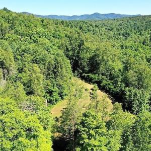 Photo of SOLD!!  373 Acres of Residential Hunting and Recreational Land For Sale in Franklin County VA!