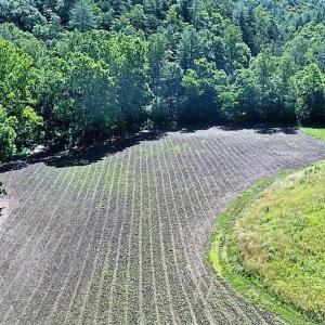 Photo of SOLD!!  373 Acres of Residential Hunting and Recreational Land For Sale in Franklin County VA!