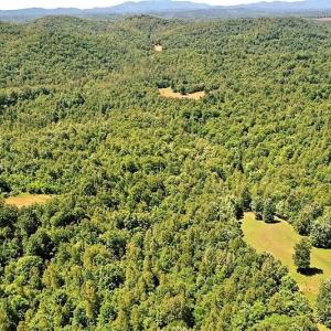 Photo of SOLD!!  373 Acres of Residential Hunting and Recreational Land For Sale in Franklin County VA!