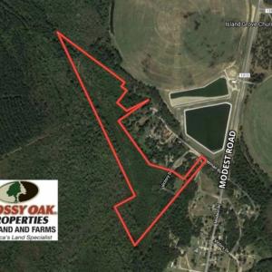 Photo of UNDER CONTRACT!  41.34 Acres of Hunting Land For Sale in Robeson County NC!