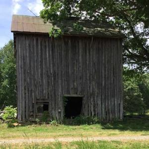 Photo of REDUCED!  144 Acres of Hunting and Farm Land For Sale in Halifax County VA!