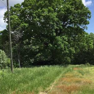 Photo of REDUCED!  144 Acres of Hunting and Farm Land For Sale in Halifax County VA!