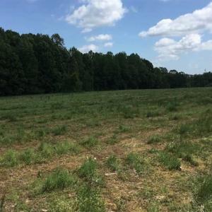 Photo of REDUCED!  144 Acres of Hunting and Farm Land For Sale in Halifax County VA!