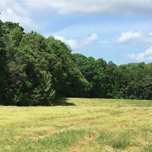 Photo of REDUCED!  144 Acres of Hunting and Farm Land For Sale in Halifax County VA!