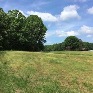 Photo of REDUCED!  144 Acres of Hunting and Farm Land For Sale in Halifax County VA!