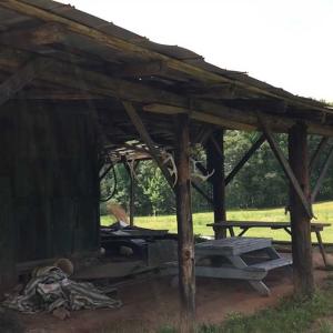 Photo of REDUCED!  144 Acres of Hunting and Farm Land For Sale in Halifax County VA!