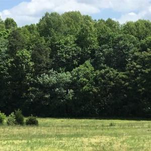 Photo of REDUCED!  144 Acres of Hunting and Farm Land For Sale in Halifax County VA!