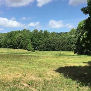 Photo of REDUCED!  144 Acres of Hunting and Farm Land For Sale in Halifax County VA!