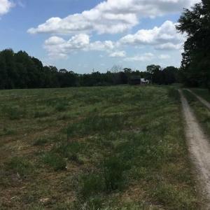 Photo of REDUCED!  144 Acres of Hunting and Farm Land For Sale in Halifax County VA!