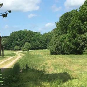 Photo of REDUCED!  144 Acres of Hunting and Farm Land For Sale in Halifax County VA!