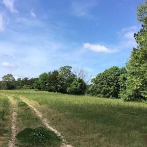 Photo of REDUCED!  144 Acres of Hunting and Farm Land For Sale in Halifax County VA!