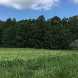 Photo of REDUCED!  144 Acres of Hunting and Farm Land For Sale in Halifax County VA!