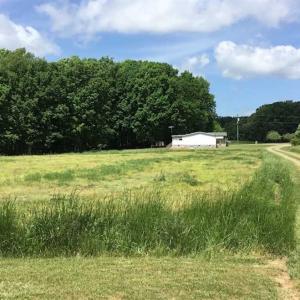 Photo of REDUCED!  144 Acres of Hunting and Farm Land For Sale in Halifax County VA!