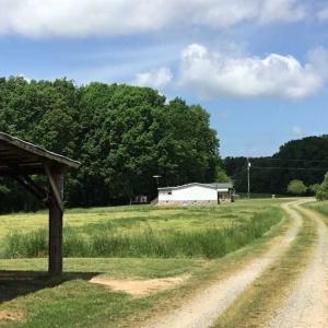 Photo of REDUCED!  144 Acres of Hunting and Farm Land For Sale in Halifax County VA!