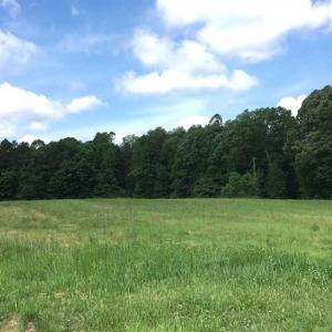 Photo of REDUCED!  144 Acres of Hunting and Farm Land For Sale in Halifax County VA!