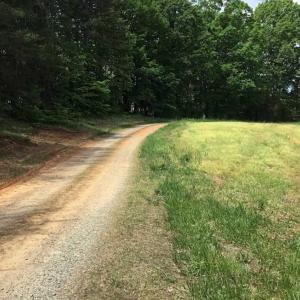 Photo of REDUCED!  144 Acres of Hunting and Farm Land For Sale in Halifax County VA!