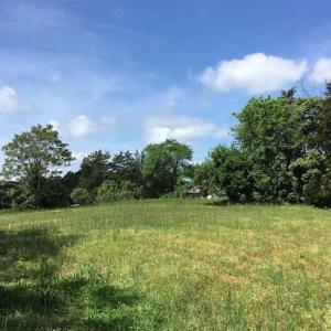Photo of REDUCED!  144 Acres of Hunting and Farm Land For Sale in Halifax County VA!