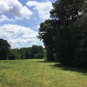 Photo of REDUCED!  144 Acres of Hunting and Farm Land For Sale in Halifax County VA!