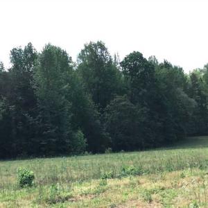 Photo of REDUCED!  144 Acres of Hunting and Farm Land For Sale in Halifax County VA!