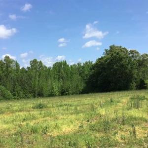 Photo of REDUCED!  144 Acres of Hunting and Farm Land For Sale in Halifax County VA!