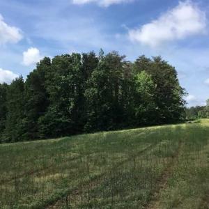 Photo of REDUCED!  144 Acres of Hunting and Farm Land For Sale in Halifax County VA!