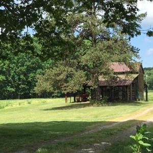 Photo of REDUCED!  144 Acres of Hunting and Farm Land For Sale in Halifax County VA!