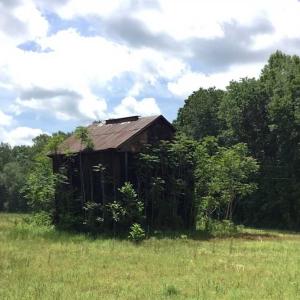 Photo of REDUCED!  144 Acres of Hunting and Farm Land For Sale in Halifax County VA!