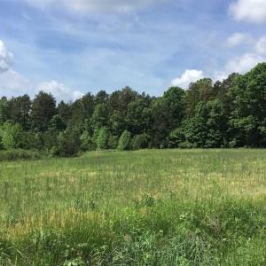 Photo of REDUCED!  144 Acres of Hunting and Farm Land For Sale in Halifax County VA!