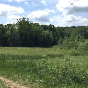 Photo of REDUCED!  144 Acres of Hunting and Farm Land For Sale in Halifax County VA!
