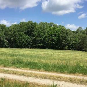 Photo of REDUCED!  144 Acres of Hunting and Farm Land For Sale in Halifax County VA!
