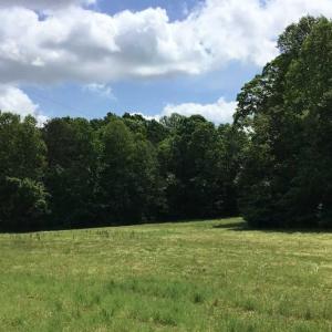 Photo of REDUCED!  144 Acres of Hunting and Farm Land For Sale in Halifax County VA!