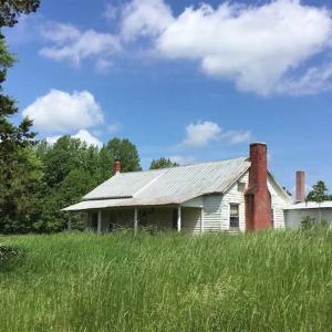 Photo of REDUCED!  144 Acres of Hunting and Farm Land For Sale in Halifax County VA!