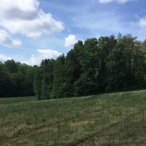 Photo of REDUCED!  144 Acres of Hunting and Farm Land For Sale in Halifax County VA!