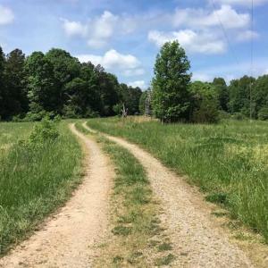 Photo of REDUCED!  144 Acres of Hunting and Farm Land For Sale in Halifax County VA!