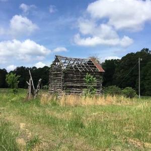 Photo of REDUCED!  144 Acres of Hunting and Farm Land For Sale in Halifax County VA!