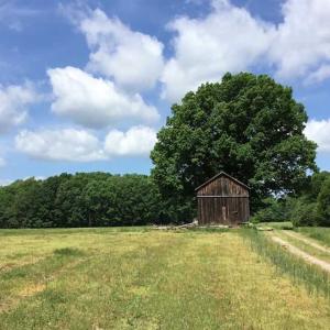 Photo of REDUCED!  144 Acres of Hunting and Farm Land For Sale in Halifax County VA!