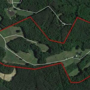 Photo of REDUCED!  144 Acres of Hunting and Farm Land For Sale in Halifax County VA!