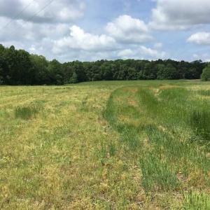 Photo of REDUCED!  144 Acres of Hunting and Farm Land For Sale in Halifax County VA!