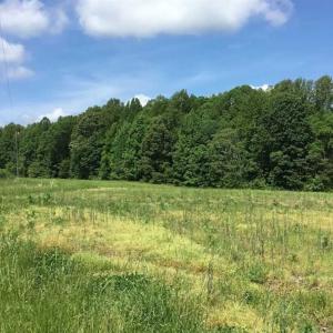 Photo of REDUCED!  144 Acres of Hunting and Farm Land For Sale in Halifax County VA!